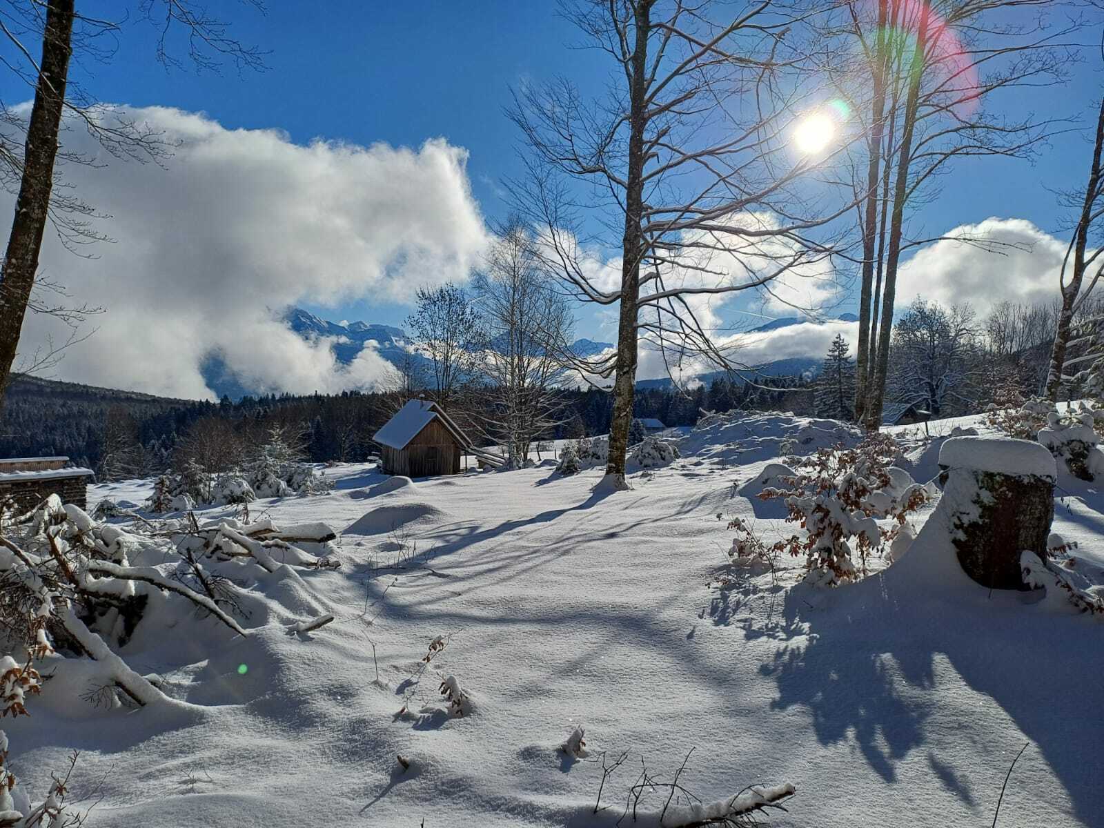 Sortie raquettes du 11.01.26