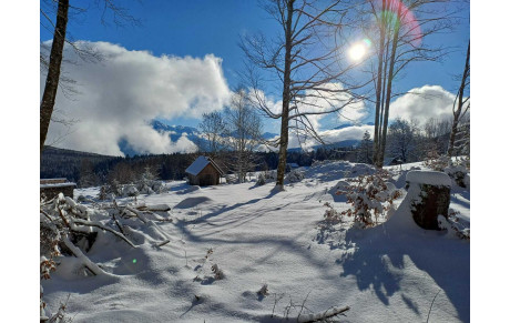 Sortie raquettes du 11.01.26